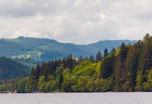 Ferienland im Schwarzwald