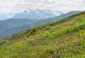 Erste Ferienregion im Zillertal