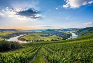 Mosel